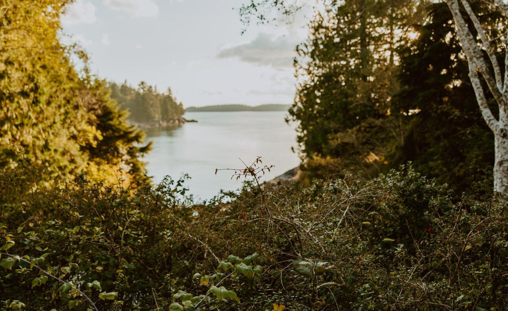 Lunar Cove Inn Charters And Tours Tofino Zewnętrze zdjęcie